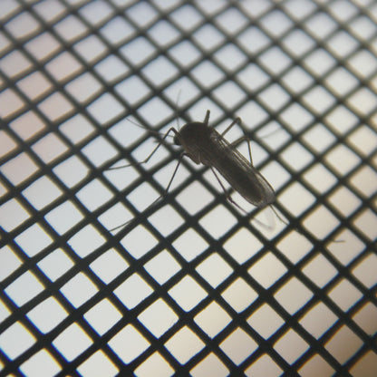 Mosquitera Magnética Antiinsectos
